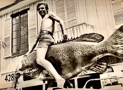 1969 Key West Captain Tony takes his goliath grouper off his car where it was mounted and put it on the sign in front of the bar Captain Tony’s saloon