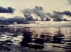 1978 Key West Florida I close my grandfathers barred Captain Tony’s saloon went down to White Street pier and take Some Sunrise photos it was like glass I thought it was the hallucinogenic mushrooms when I got the photos back I realized it was just a special morning