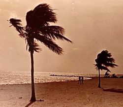 My first role of black and white film Key West 19 £.78 Smathers Beach the wind was blowing and the sun just came up I had one of those rough nights at Captain Tony’s close the bar at four went partying till sunrise I remember that day