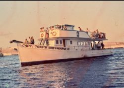 This is my grandfathers fourth fishing smuggling party boat out of Key West Florida it made many trips to San Diego Bay in Cuba during the Cuban missile crisis and Bay of Pigs while he was smuggling CIA agents he snuck in some rum sponges and weapons he got busted twice no charges ever held this boat Had to custom engines in it, it flew I went for a ride on it in 1968 to the reef we were there in 22 minutes you see his face on the side of the boat that’s how he rolled the man the myth the legend my grandfather Captain Tony